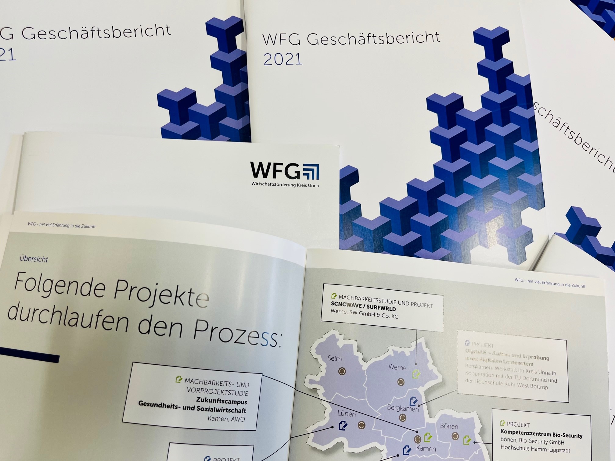 06_WFG-Geschäftsbericht 2021online
